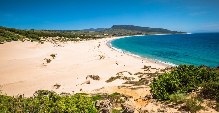 Playa de Bolonia en Tarifa, Cádiz (Fuente: iStock)