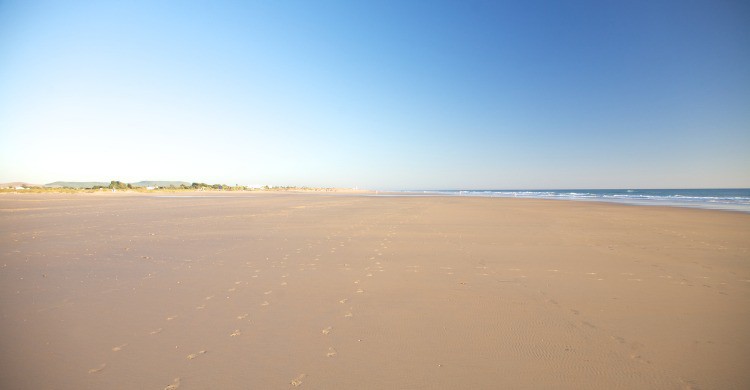 Playa de Castilnovo en Conil, Cádiz (Fuente: iStock)