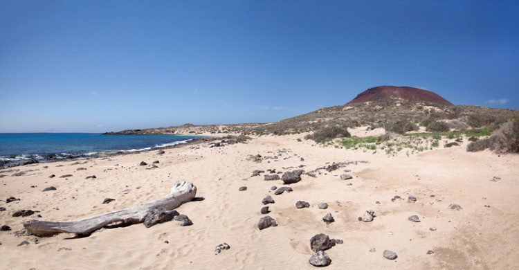 Playa Francesa en Lanzarote (Fuente: iStock)
