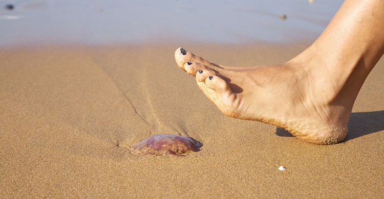 Una persona a punto de pisar una medusa