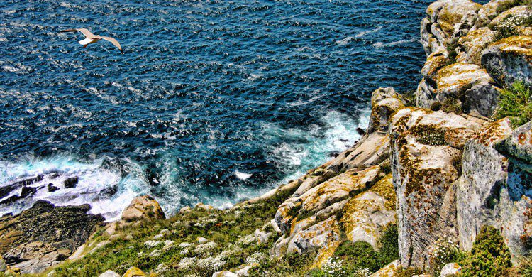 porque visitar las islas cies