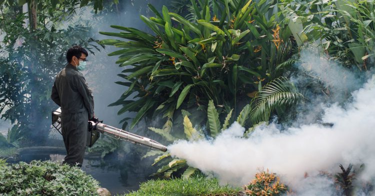 enfermedades latinoamerica