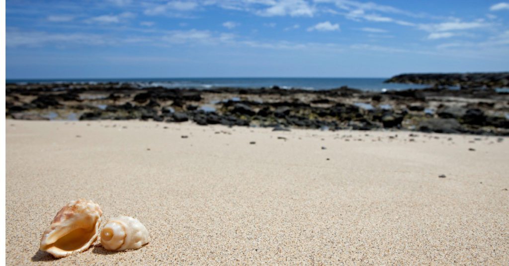 Sigue leyendo Las 7 playas de Lanzarote que no te puedes perder