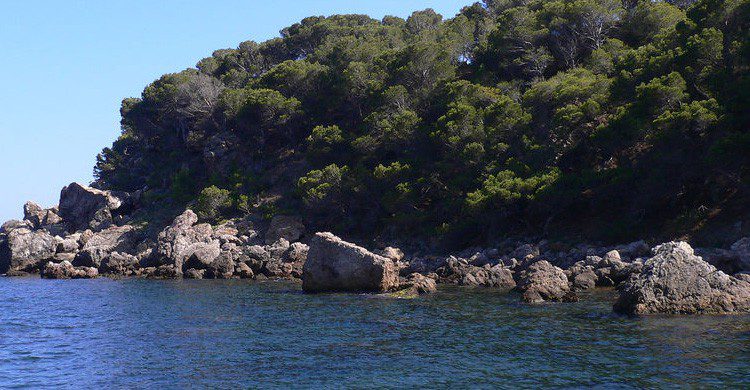La Cala Murtra en Costa Brava (Fuente: Proscilas Moscas / Flickr)