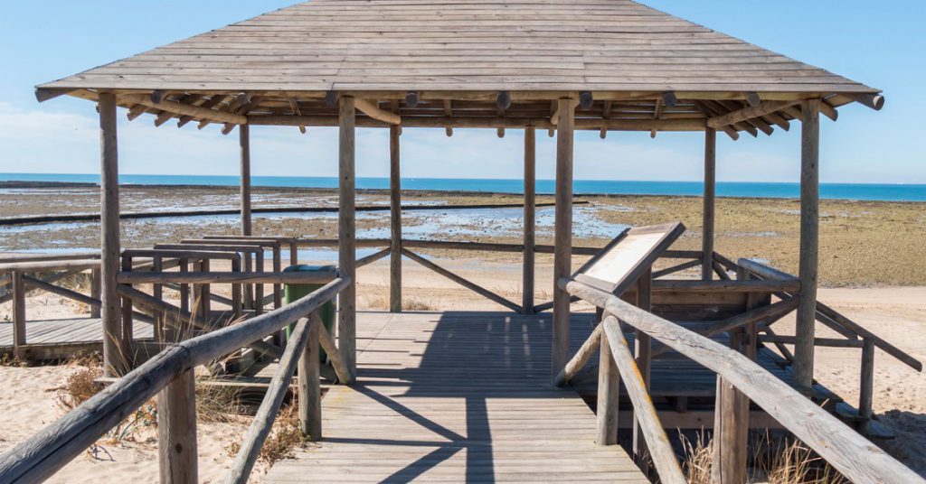 Sigue leyendo 7 playas nudistas de Cádiz que deberías descubrir