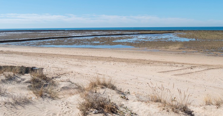 Playa de Punta Candor en Rota, Cádiz (Fuente: iStock)