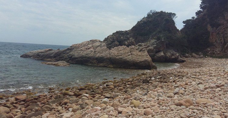 Cala Vallpresona en la Costa Brava (Fuente: Miquel Duran / Flickr)
