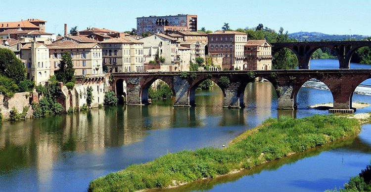 Albi (Pixabay)