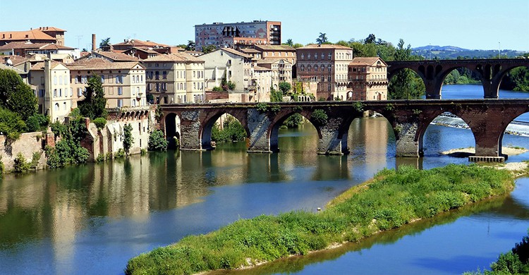 Albi (Pixabay)
