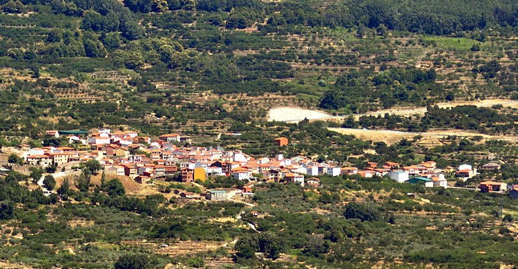 4. Cabrero