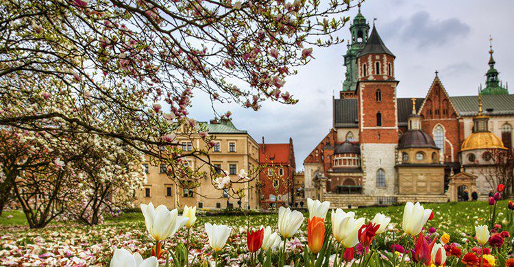 Polonia un referente de belleza en Europa(Istock)