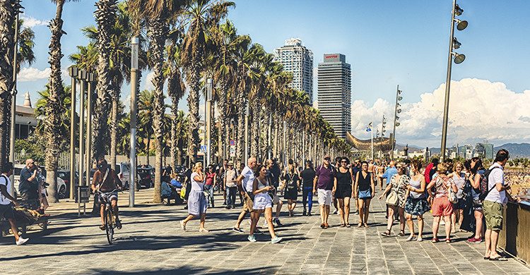 Conocer Barcelona en un Tour en bicicleta(IStock)