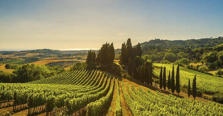 almuerzo en una granja toscana (Istock)
