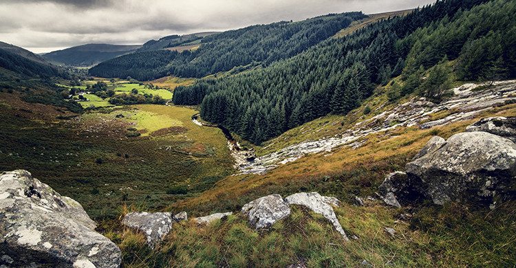 Excursión a las montañas de Wicklow(iStock)