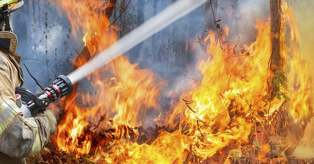 Sigue leyendo El incendio de Tarragona, uno de los peores de los últimos 20 años, avanza sin control