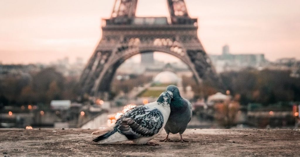 Sigue leyendo Los 10 lugares más románticos del mundo para disfrutar San Valentín