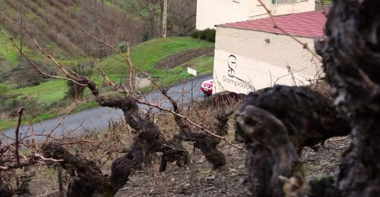 Bodegas Sampayolo
