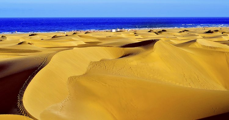 ¡Vacaciones seguras en Gran Canaria! <br> ¡Vuelos + 7 Noches desde 382€!