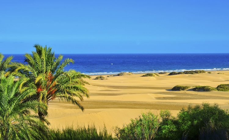 Gran Canaria:Vuelos+7Noches desde 277€ <br> (Salida desde Madrid)