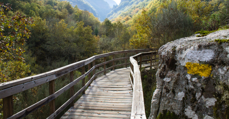 Ribeira Sacra