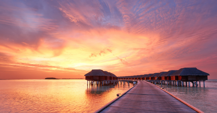 ofertas del año con qatar airways