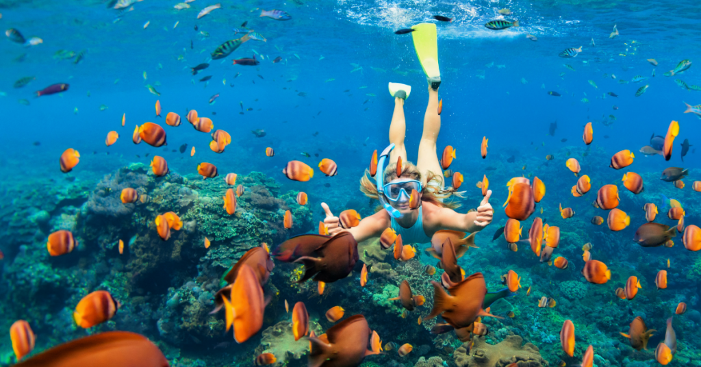 Sigue leyendo ¿Planeando ir al Caribe? Los 5 destinos más accesibles