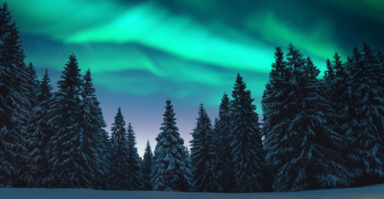 Auroras Boreales (Envato)