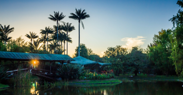 Jardín Botánico (AdobeStock)