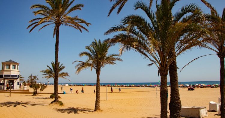 Hotel Gandía Palace 4* desde 84€ noche/persona ?