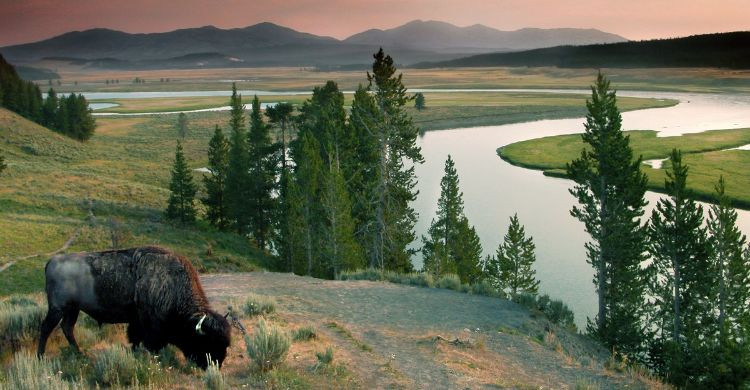 Parque Nacional de Yellowstone (Adobe Stock)