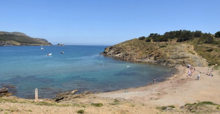 Colera (Adobe Stock)