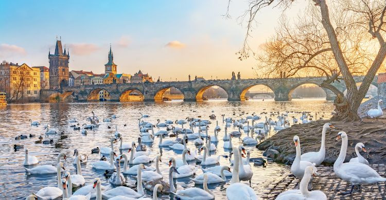 Atardecer en el Puente Carlos (Adobe Stock)