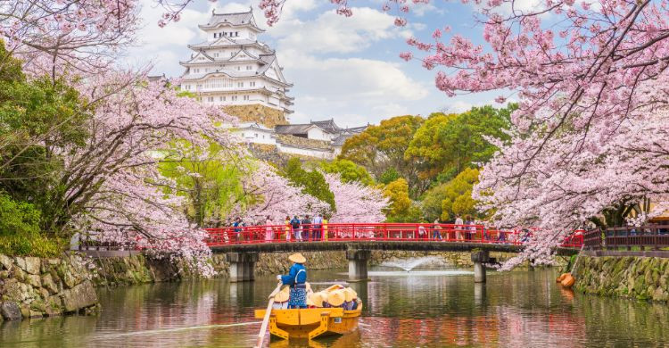 Primavera en Japón (Adobe Stock)