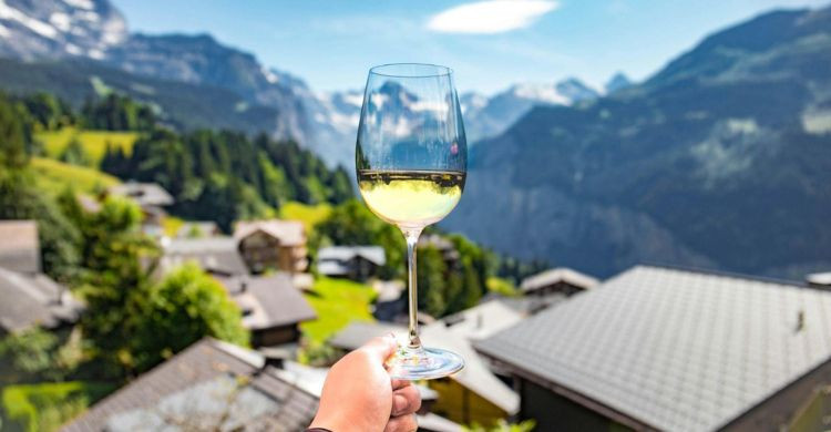 Visite una bodega privada (Foto de Daniel Vogel en Unsplash)