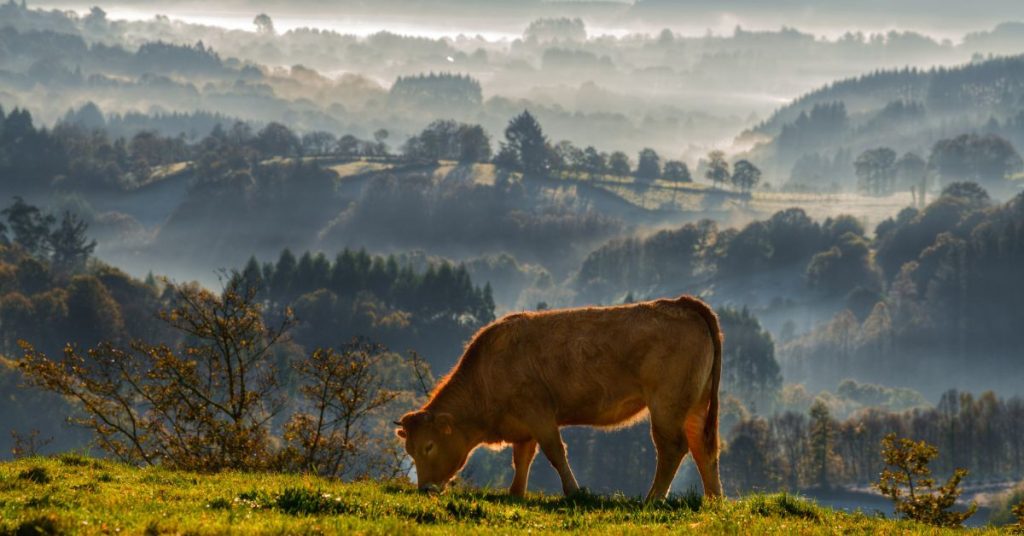 Sigue leyendo 5 pueblos abandonados de Galicia que debes conocer