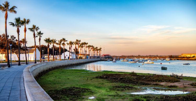 Conil de la Frontera (Canva)