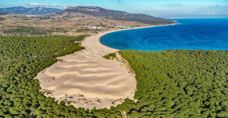 Playa de Bolonia, en Cádiz, Andalucía. (AdobeStock)