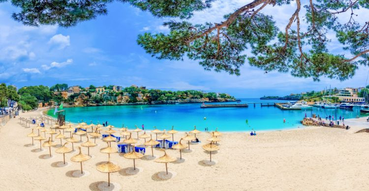 Vista panorámica de la Cala Romantica, en Mallorca. (AdobeStock)