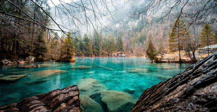 Lago de Blausee o Lago Azul, Suiza. (Adobe Stock)
