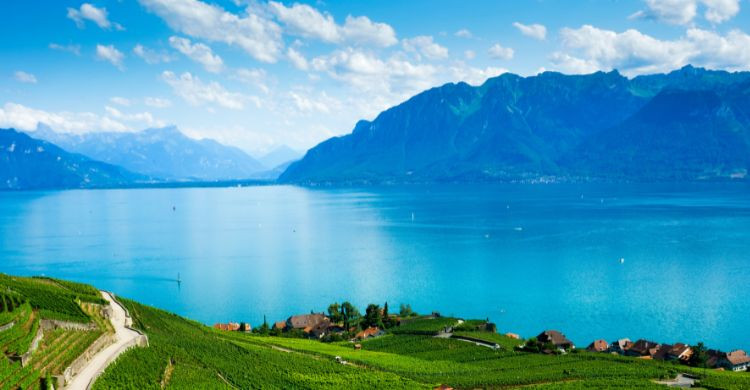 Lago de Ginebra o Lac Léman, Suiza. (Adobe Stock)