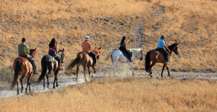 Paseo a caballo. (Adobe Stock)