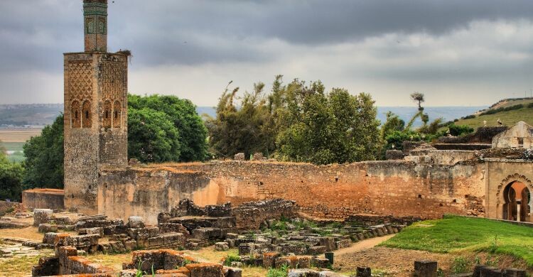 Visita las antiguas ruinas en la necrópolis de Cellah, donde verás las ruinas y las cigueñas en las murallas. (Adobe Stock)