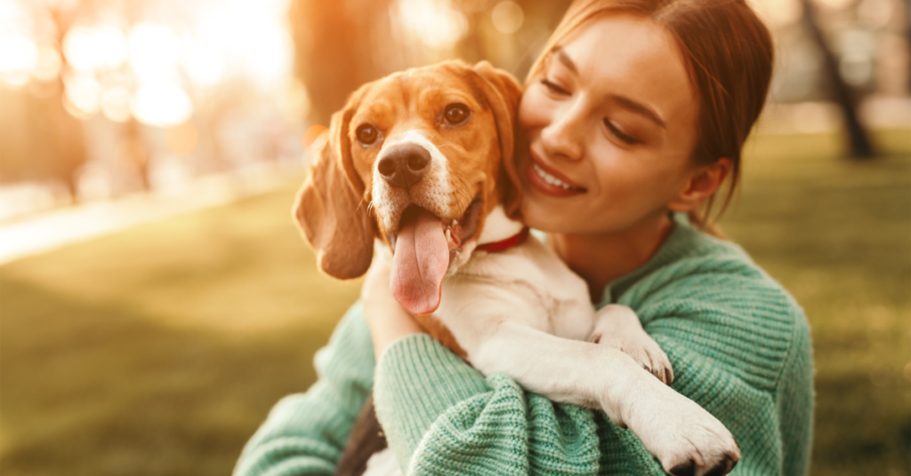 Sigue leyendo Cinco destinos para veranear con perros
