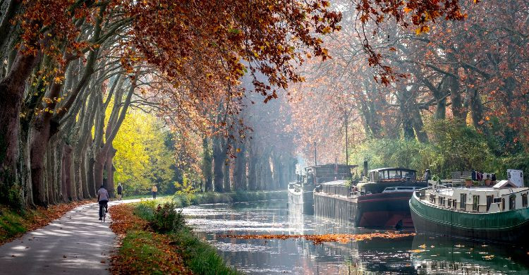 Canal du Midi (Canva)