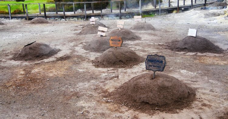 Cocinar el plato típico local, el cozido das Furnas, un guiso portugués, en el suelo volcánico de la caldera de Furnas. (Adobe Stock)