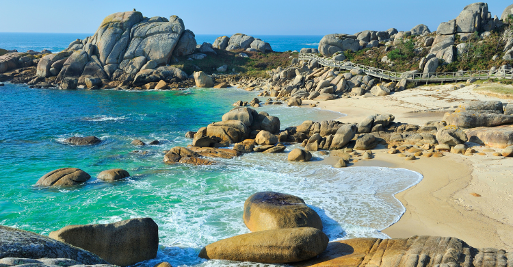 Cinco destinos para veranear con perros 