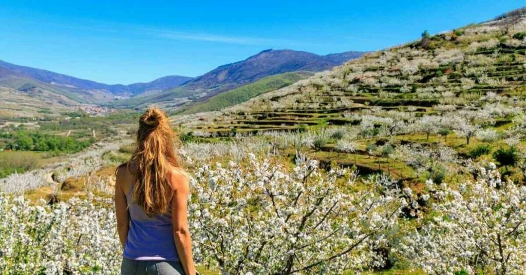 Sigue leyendo El Valle del Jerte, el mejor sitio para visitar esta primavera
