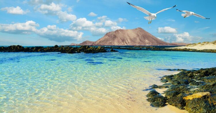 Escápate a Fuerteventura: Vuelos de ida y vuelta desde 84€