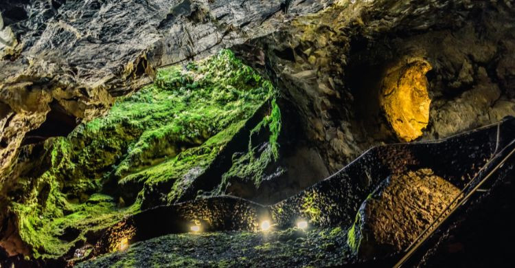 Túnel en las grutas de Algar do Carvão con pared de vegetación verde, Terceira. (Adobe Stock)