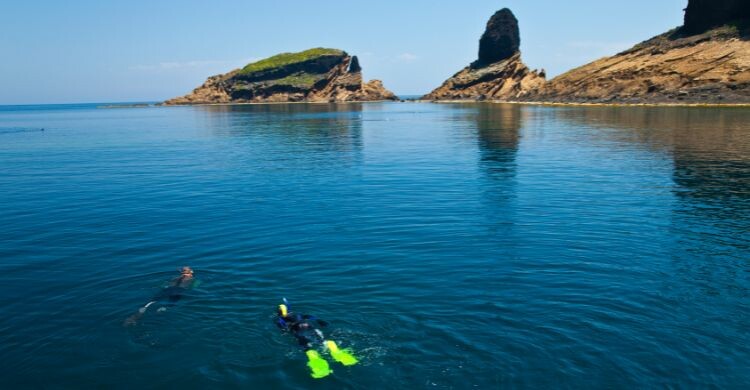 Otra de las actividades que podrás hacer en las Islas Columbretes es buceo. (Adobe Stock)